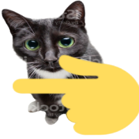 :pointleftcat:
